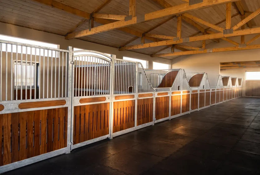 Elite Equine Group project