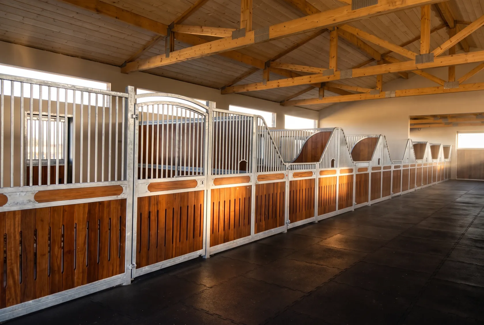 Elite Equine Group project