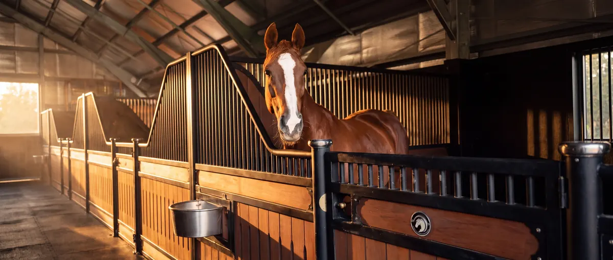 Samford Valley Stable