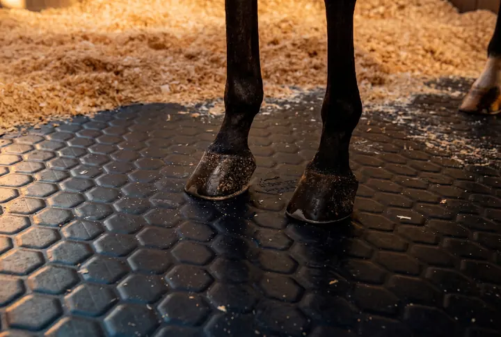 EASYFIX rubber matting underfoot in a stable
