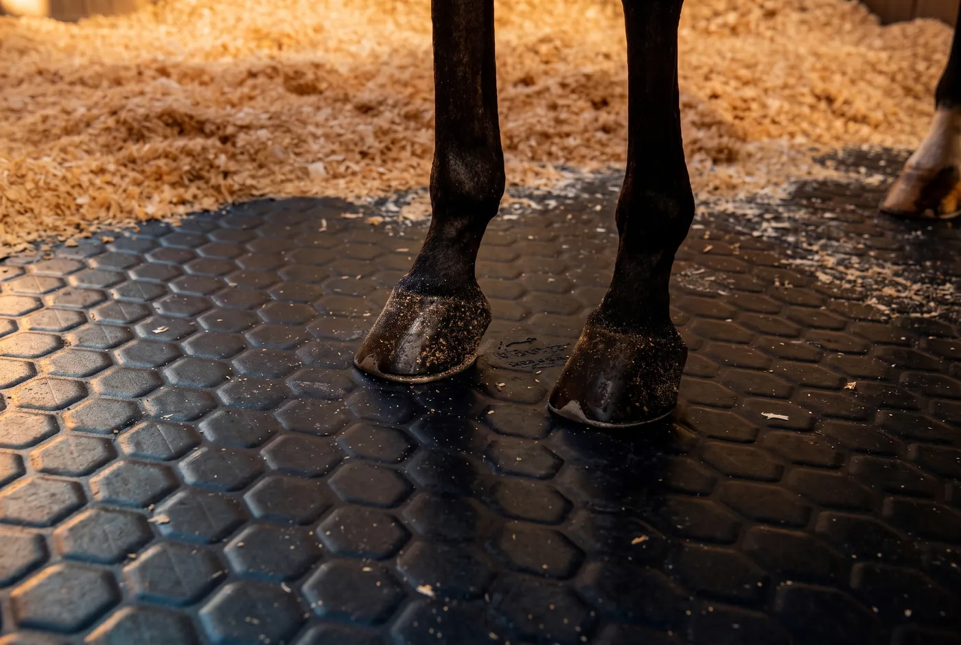 Rubber Matting