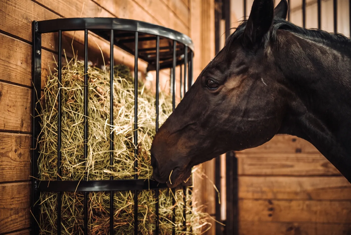 Stable Accessories