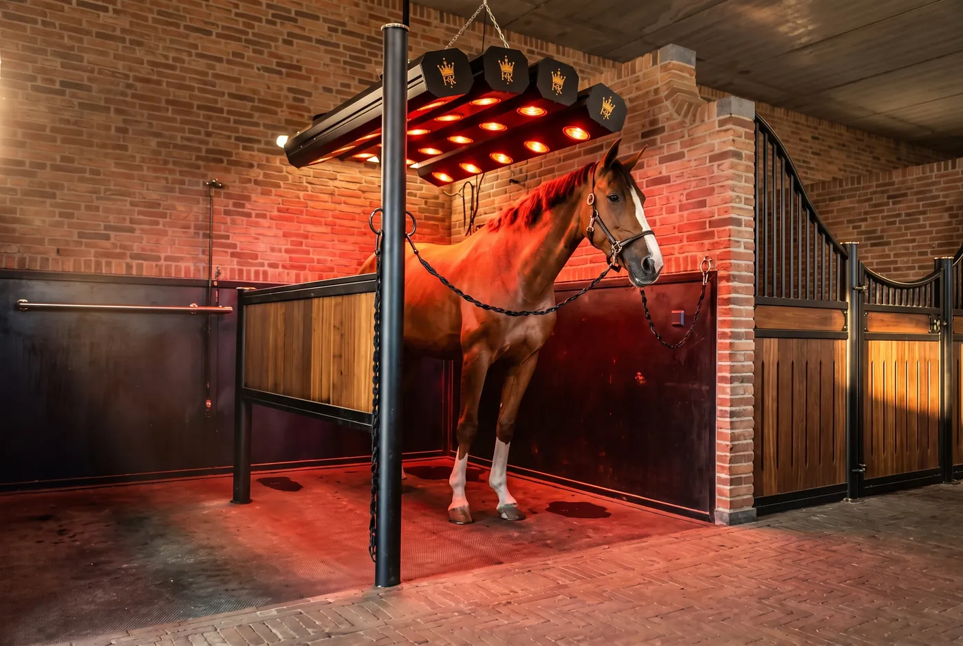 Infrared Solariums