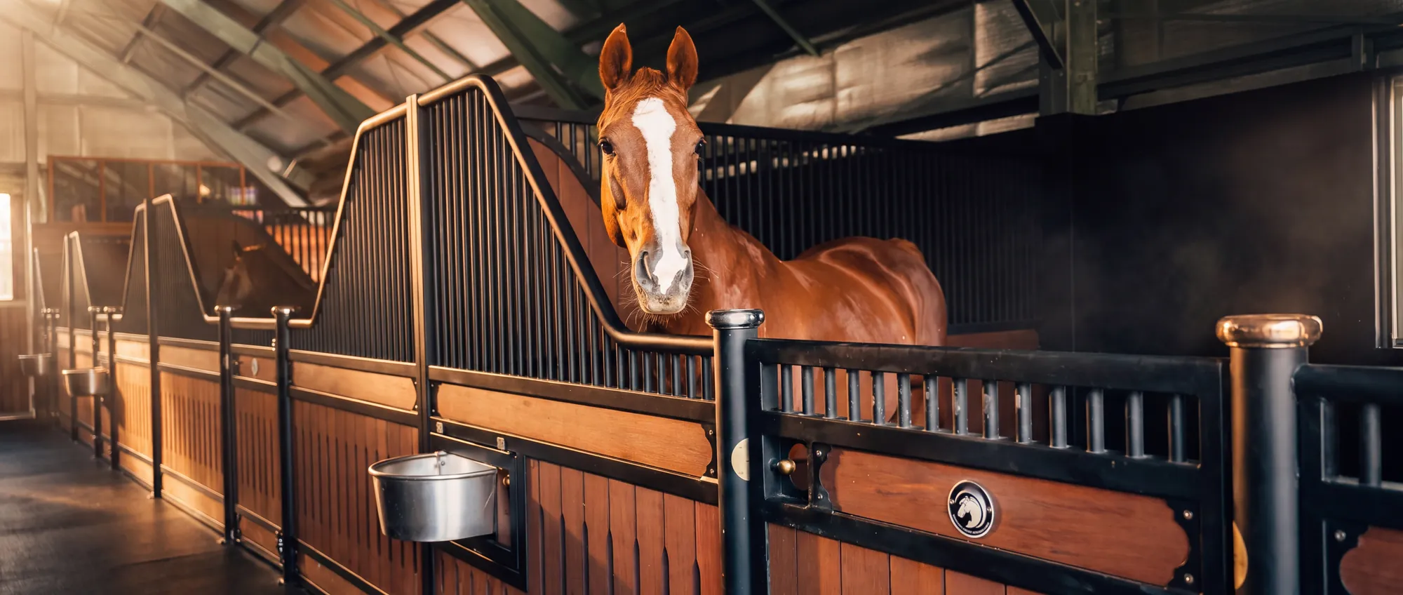 Samford Valley Stable