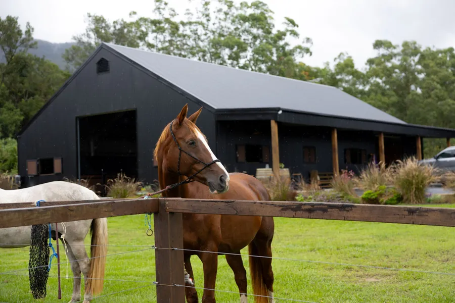 Samford Valley Stable, image 1
