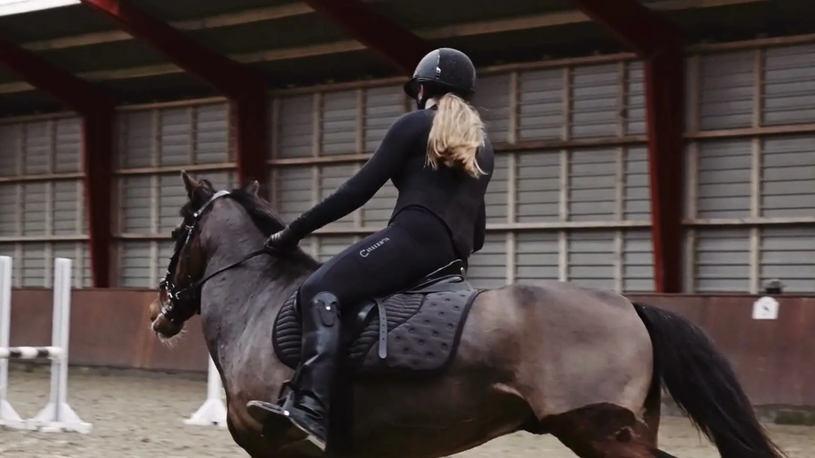 Inside an Elite Equine Group stable build